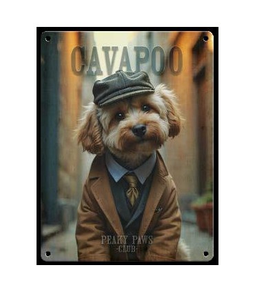 PLAQUE 20X30 CAVAPOO C2