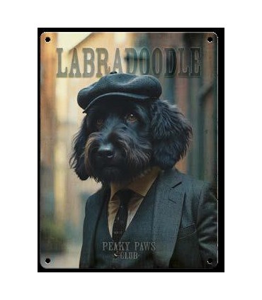 PLAQUE 20X30 LABRADOODLE NOIR C2