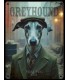 PLAQUE 20X30 LEVRIER GREYHOUND C2