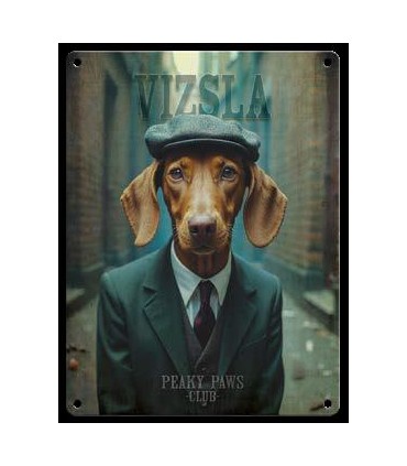 PLAQUE 20X30 BRAQUE HONGROIS C2