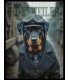 PLAQUE 20X30 ROTTWEILER C2