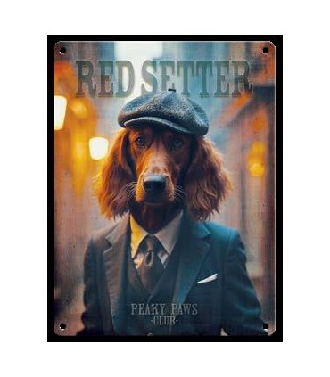 PLAQUE 20X30 SETTER C2