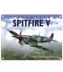 PLAQUE 30X40 SPITFIRE V C2