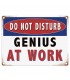 PLAQUE 30X40 GENIUS AT WORK C2