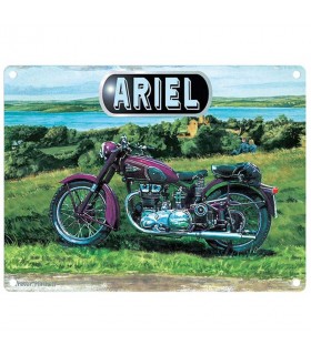 PLAQUE 30X40 ARIEL C2 PLAQUE 30X40 ARIEL C2