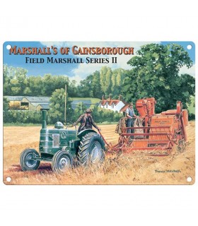 PLAQUE 30X40 MITCHELL MARSHALLS GAINSBOROUGH C2 PLAQUE 30X40 MITCHELL MARSHALLS GAINSBOROUGH C2