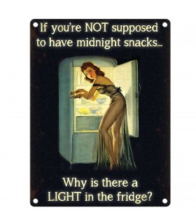 PLAQUE 30X40 LIGHT IN THE FRIDGE C2