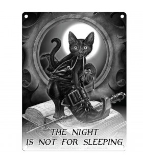 PLAQUE 30X40 NIGHT NOT FOR SLEEPING C2 PLAQUE 30X40 NIGHT NOT FOR SLEEPING C2