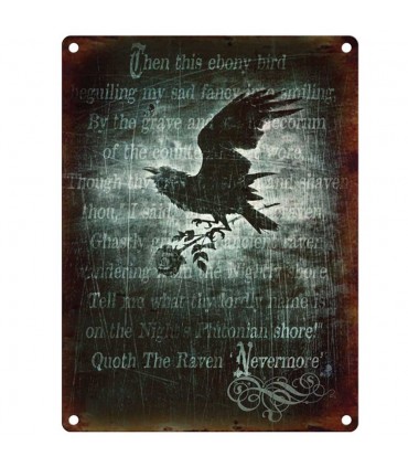 PLAQUE 30X40 NEVER MORE C2