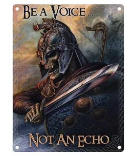 PLAQUE 30X40 BE A VOICE C2 PLAQUE 30X40 BE A VOICE C2