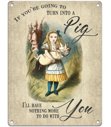 PLAQUE 30X40 TURN INTO A PIG C2