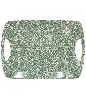 PLATEAU GM ACORN C2 45X32