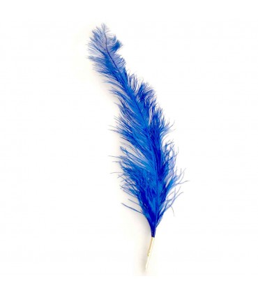 PLUME D'AUTRUCHE BLEUE ROYALE C12 L.60CM