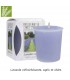 BOUGIE VOTIVE LAVENDER LANE C18