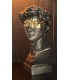 BUSTE DAVID 18X16X30