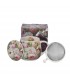 TISANIERE FILTRE 430ML PIVOINES C3