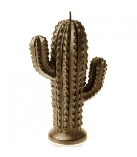 BOUGIE CACTUS BRASS 24H 14X10X4.7 C2