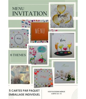 LOT MENUS ASS 8 THEMES 40 PAQUETS DE 5