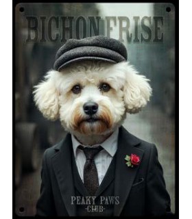 PLAQUE 20X30 BICHON FRISE C2