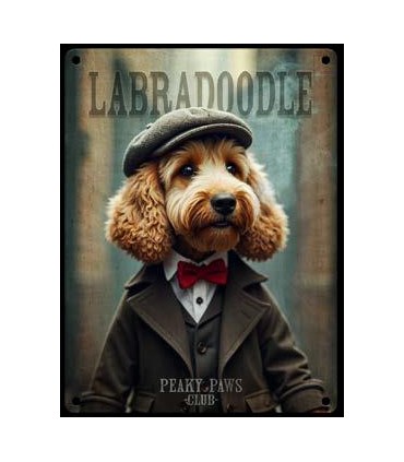 PLAQUE 20X30 LABRADOODLE C2