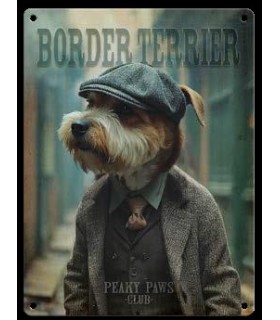 PLAQUE 20X30 BORDER TERRIER C2