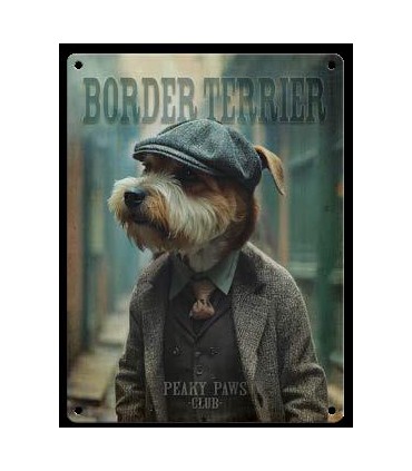 PLAQUE 20X30 BORDER TERRIER C2