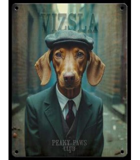 PLAQUE 20X30 BRAQUE HONGROIS C2