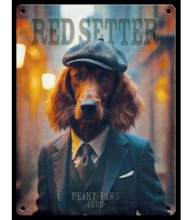 PLAQUE 20X30 SETTER C2