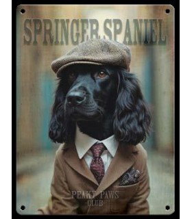 PLAQUE 20X30 SPRINGER SPANIEL C2