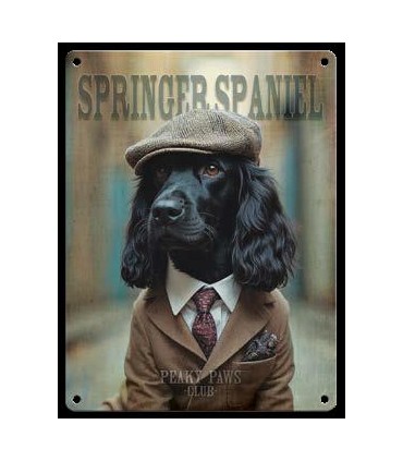 PLAQUE 20X30 SPRINGER SPANIEL C2