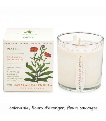 BOUGIE PLANT CATALAN CALENDULA 283G