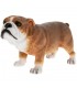 CHIEN BULLDOG 12X8X9 