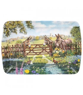 PLATEAU PM ANE C6 24X15