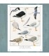 PLAQUE 30X40 GOELANDS