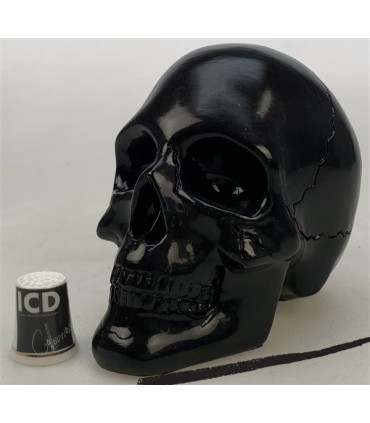 CRANE NOIR 14X9X10.5 C4