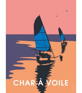 PLAQUE 30X40 CHAR A VOILE C2