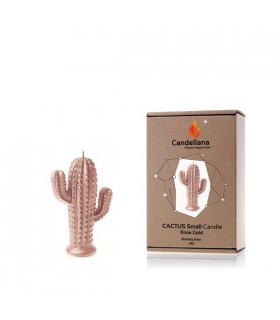 BOUGIE CACTUS ROSE GOLD 24H 14X10X4.7 C2